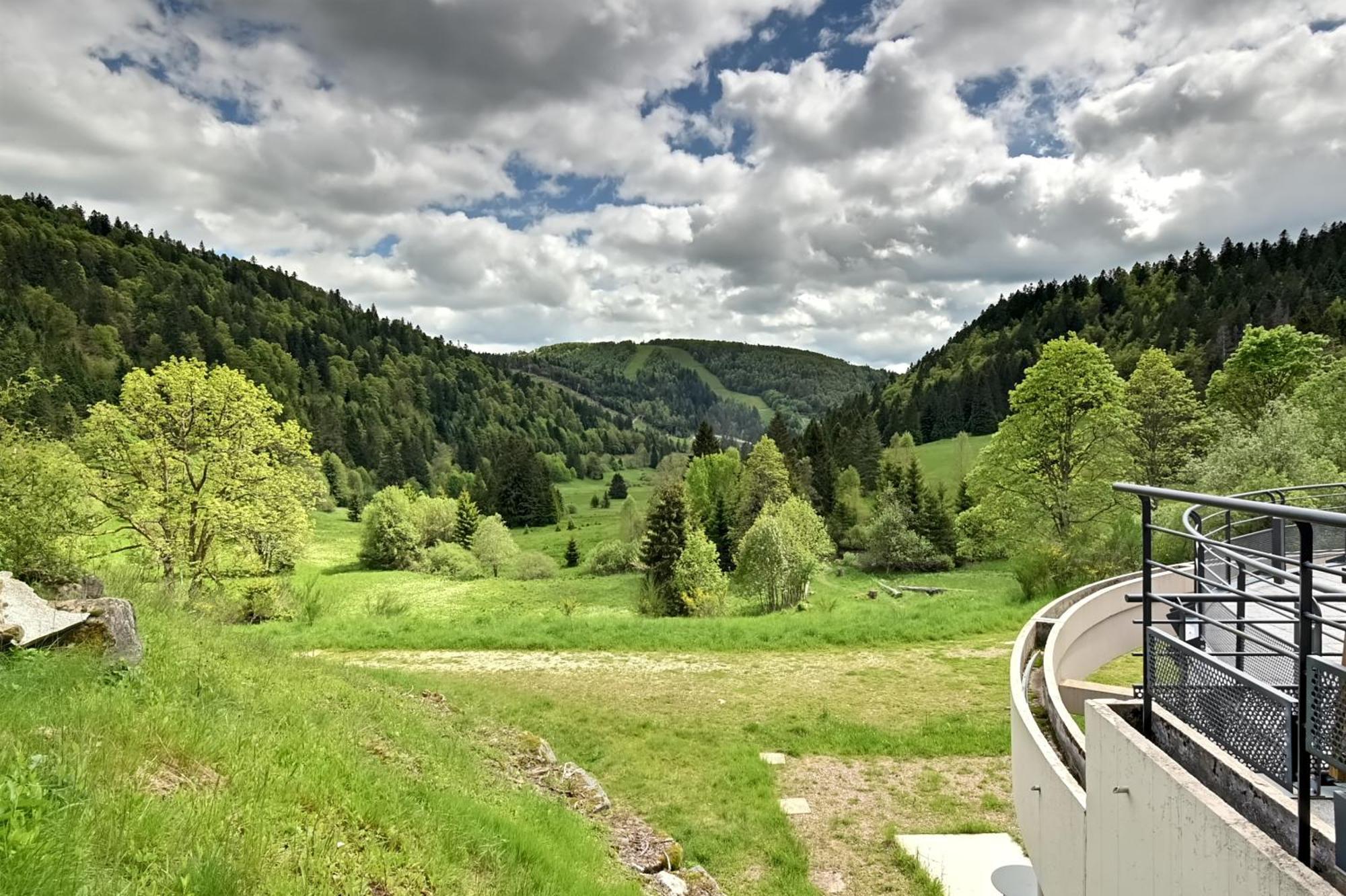Apartment La Ligne Bleue Des Vosges - Appt Proche Des Pistes