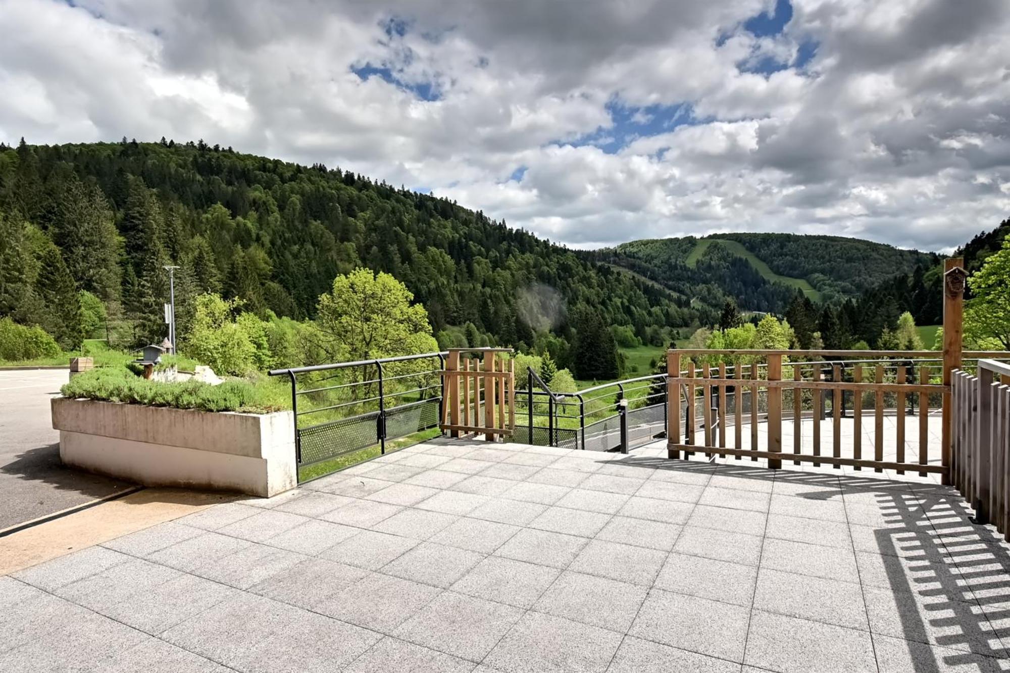 La Ligne Bleue Des Vosges - Appt Proche Des Pistes *