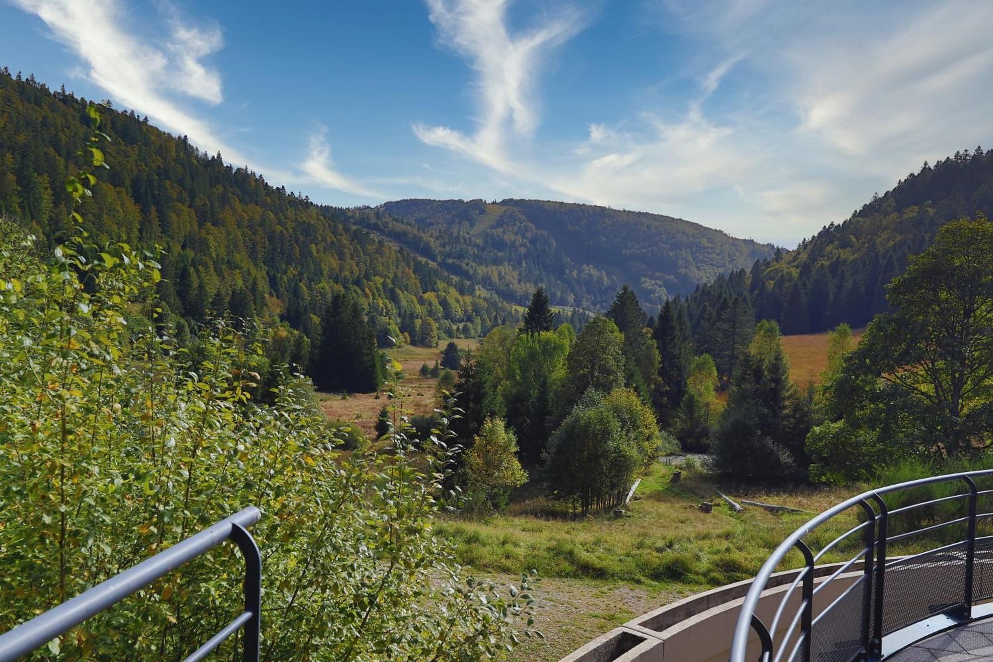 Apartment La Ligne Bleue Des Vosges - Appt Proche Des Pistes La Bresse